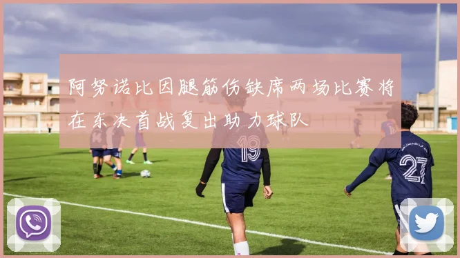 阿努诺比因腿筋伤缺席两场比赛将在东决首战复出助力球队